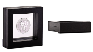 Floating Coin Frame to Display Custom Coins