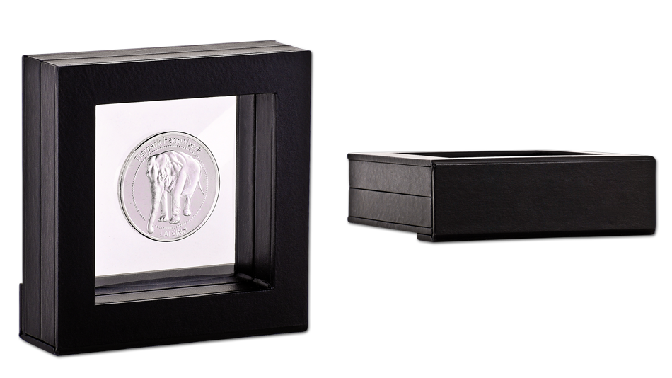Floating Frame to Display Custom Award Coins