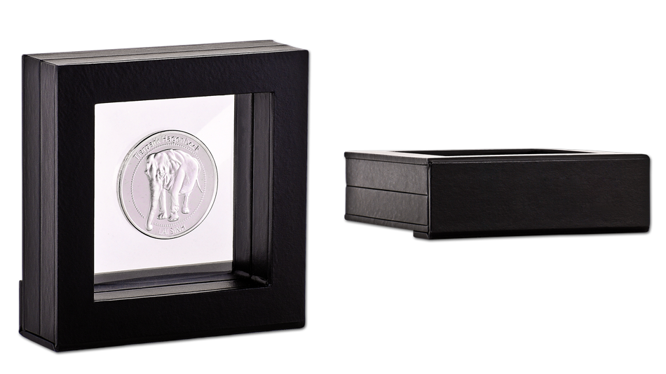 Floating Frame V19_ coin packaging