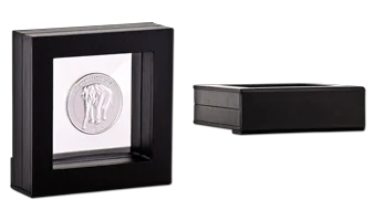 floating frame image
